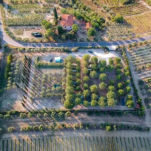  Campingplatz Agricamping Poggio Ai Pini Wine