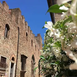Palazzo Stiozzi Ridolfi Apartment